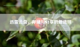 迅雷云盘，存储与分享的新选择
