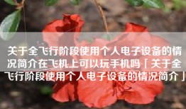 关于全飞行阶段使用个人电子设备的情况简介在飞机上可以玩手机吗「关于全飞行阶段使用个人电子设备的情况简介」