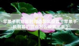 苹果手机屏幕的圆点怎么设置（苹果手机屏幕的圆点怎么设置出来）