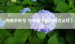 js判断手机号（js判断手机号码合法性）