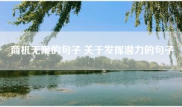 商机无限的句子 关于发挥潜力的句子
