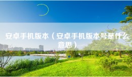 安卓手机版本（安卓手机版本号是什么意思）