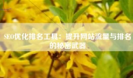 SEO优化排名工具：提升网站流量与排名的秘密武器