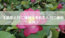 手机怎么扫二维码（手机怎么扫二维码联网）