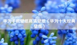 华为手机壁纸高清壁纸（华为十大经典壁纸）