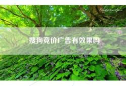 搜狗竞价广告有效果吗