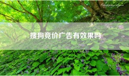 搜狗竞价广告有效果吗