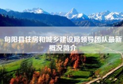 旬阳县住房和城乡建设局领导团队最新概况简介