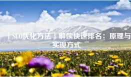 「SEO优化方法」解读快速排名：原理与实现方式