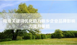 精准关键词优化助力新乡企业品牌影响力提升策略