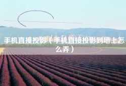 手机直接投影（手机直接投影到墙上怎么弄）