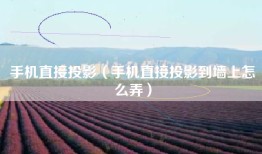手机直接投影（手机直接投影到墙上怎么弄）