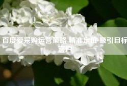 百度爱采购运营策略 精准定位 吸引目标客户