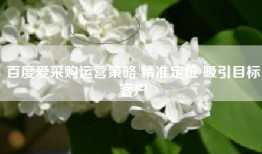 百度爱采购运营策略 精准定位 吸引目标客户