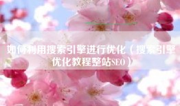如何利用搜索引擎进行优化（搜索引擎优化教程整站SEO）