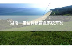 湖南一里达科技盲盒系统开发