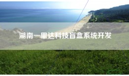 湖南一里达科技盲盒系统开发