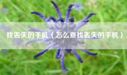 找丢失的手机（怎么查找丢失的手机）