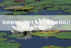 如何看到自己的手机号（如何看到自己的手机号码oppo）
