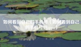 如何看到自己的手机号（如何看到自己的手机号码oppo）