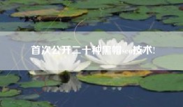 首次公开二十种黑帽seo技术!