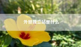 外贸独立站是什么