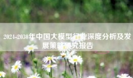 2024-2030年中国大模型行业深度分析及发展策略研究报告