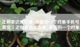 正则表达式也是js里面的一个对象手机号英文「正则表达式也是js里面的一个对象」