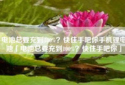 电池总要充到100%？快住手吧你手机锂电池「电池总要充到100%？快住手吧你」