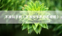 不准玩手机（不准玩手机励志壁纸）
