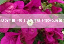 华为手机上锁（华为手机上锁怎么设置）