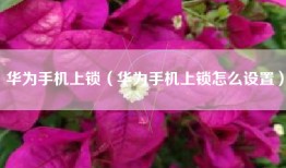 华为手机上锁（华为手机上锁怎么设置）