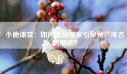 小鹿课堂：如何提高搜索引擎竞价排名的顺序？