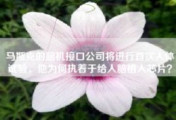 马斯克的脑机接口公司将进行首次人体试验，他为何执着于给人脑植入芯片？