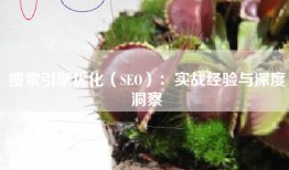 搜索引擎优化（SEO）：实战经验与深度洞察