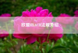 欧盟REACH法规介绍