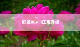 欧盟REACH法规介绍