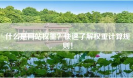 什么是网站权重？快速了解权重计算规则！
