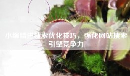 小编精进搜索优化技巧，强化网站搜索引擎竞争力