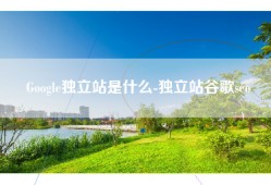 Google独立站是什么-独立站谷歌seo