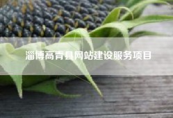淄博高青县网站建设服务项目