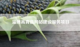 淄博高青县网站建设服务项目