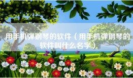 用手机弹钢琴的软件（用手机弹钢琴的软件叫什么名字）