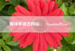 翻译多语言网站 – TranslatePress