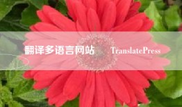 翻译多语言网站 – TranslatePress