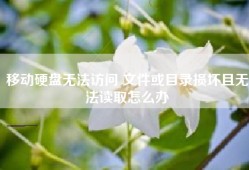 移动硬盘无法访问 文件或目录损坏且无法读取怎么办