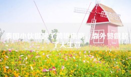 泰国小伙做起了跨境电商，靠外贸做起了大生意