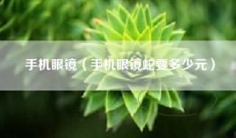 手机眼镜（手机眼镜蛇要多少元）