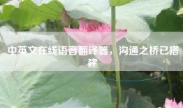 中英文在线语音翻译器，沟通之桥已搭建