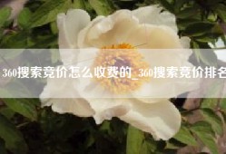 360搜索竞价怎么收费的_360搜索竞价排名